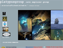 Tablet Screenshot of platypusgroup.org